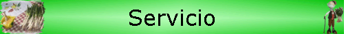 Servicio